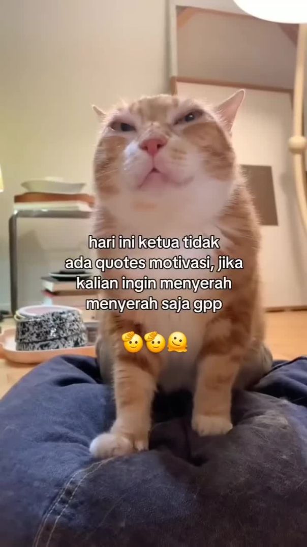 Quote hari ini ?